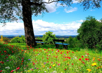 CUMA GÜNÜNÜN ÖNEMİ | HADİS