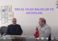 ETİ HELAL OLAN BALIKLAR VE DETAYLARI | FIKIH