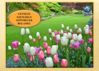 CENNETE ESENLİKLE GÖTÜRECEK BEŞ AMEL | HADİS-İ ŞERİF