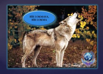 BİR LOKMAYA, BİR LOKMA | SOHBET