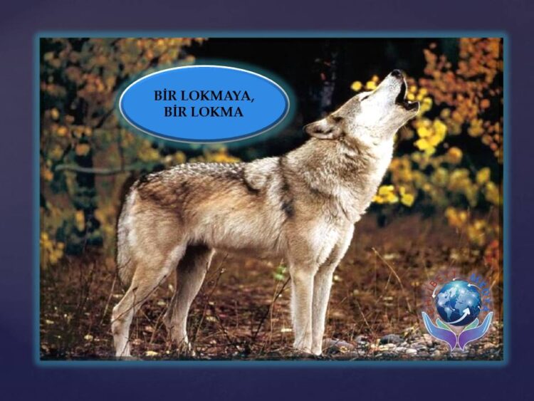 BİR LOKMAYA, BİR LOKMA | SOHBET