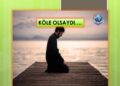 KÖLE OLSAYDI…