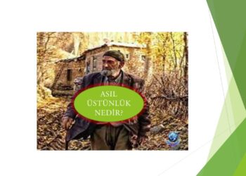 ASIL ÜSTÜNLÜK NEDİR? | ÖYKÜ