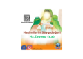 Haşimilerin Saygıdeğeri Hz.Zeynep (s.a)