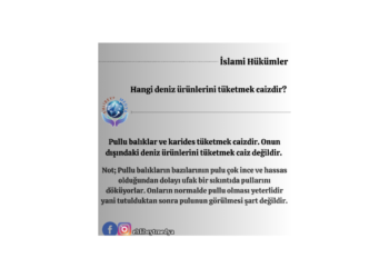 Hangi deniz ürünlerini tüketmek caizdir?